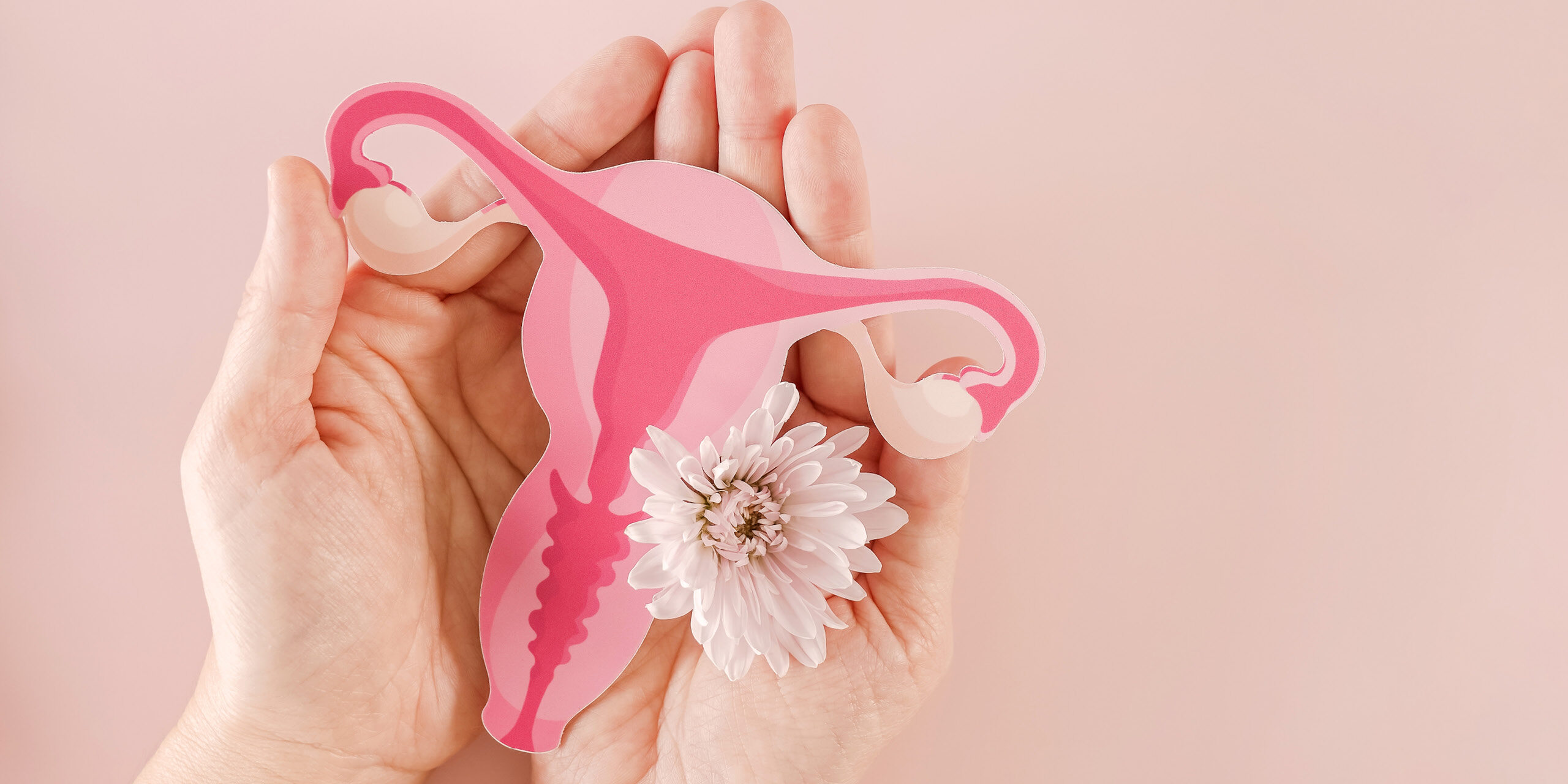 laser-co2-vaginale-salute-intima-femminile laser-co2-vaginale-salute-intima-femminile