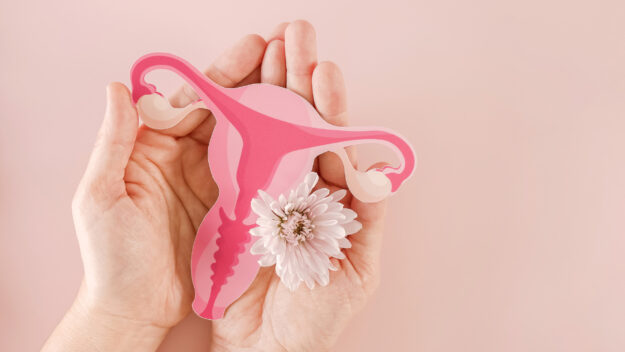 laser-co2-vaginale-salute-intima-femminile laser-co2-vaginale-salute-intima-femminile